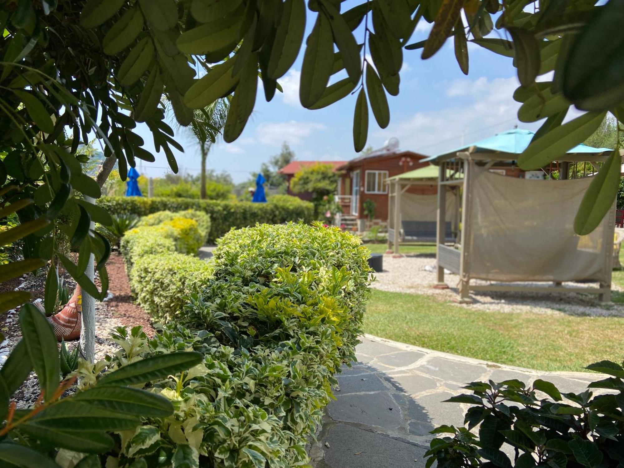 Villarreal Lodge Hotel Ecologico Totolapan Buitenkant foto